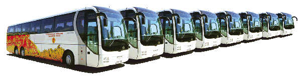 bus image bus