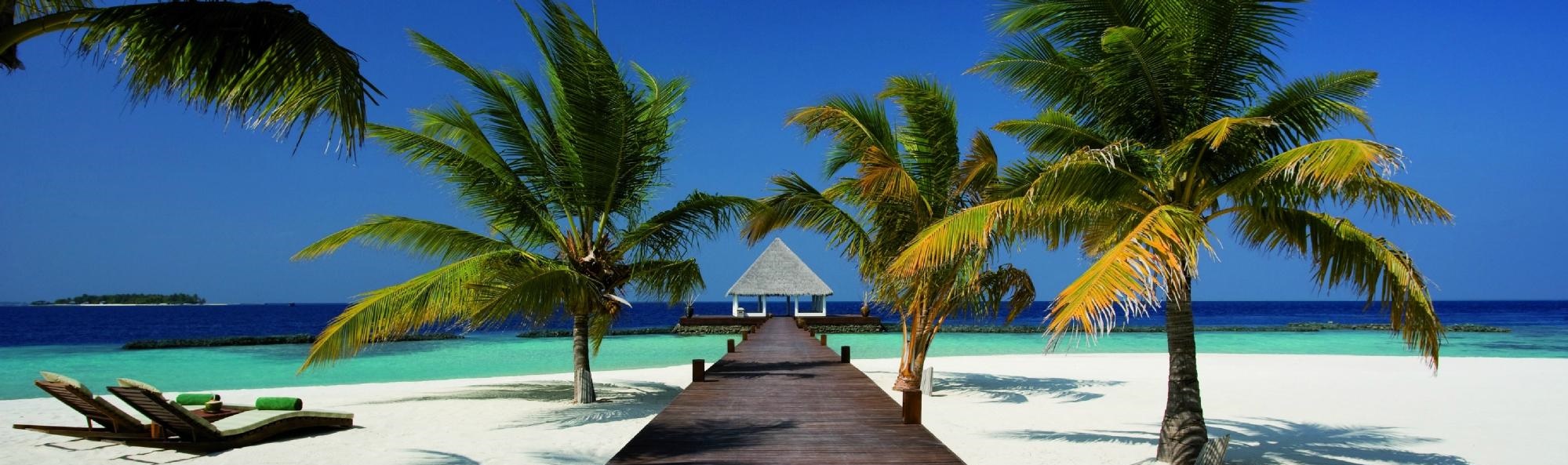 coco-bodu-hithi image coco-bodu-hithi