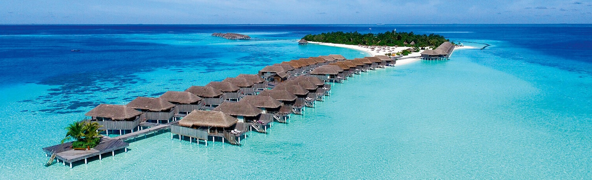 constance-moofushi-main image constance-moofushi-main